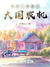箫家三部曲之大国农机封面