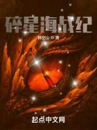 碎星海战纪封面