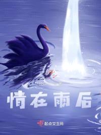 情在雨后封面