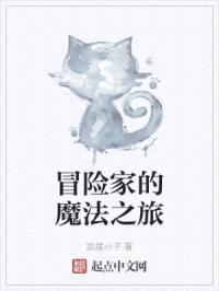 冒险家的魔法之旅封面