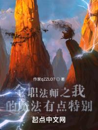 全职法师之我的魔法有点特别封面