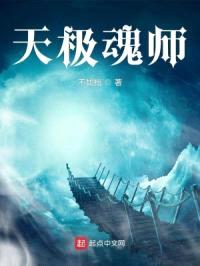 天极魂师封面