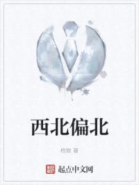 西北偏北封面