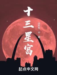 十三星宫封面