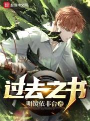 过去之书封面