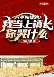 分手你提的，我当上镇长你哭什么封面
