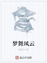梦舞风云封面