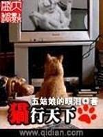 猫行天下封面