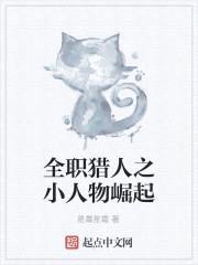 全职猎人之小人物崛起封面