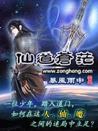 仙道苍茫封面
