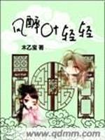 风醉叶轻轻封面