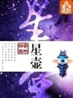 星壶封面