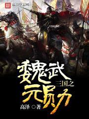 三国之魏武元勋封面