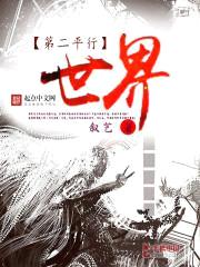 第二平行世界封面