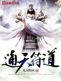 通天符道封面